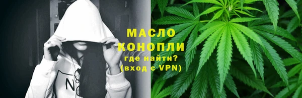 apvp Гусев