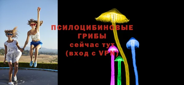 соль ск Михайлов