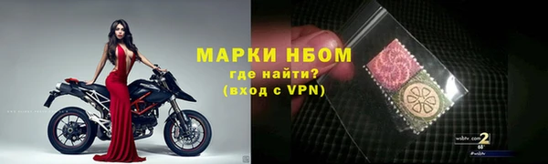 apvp Гусев