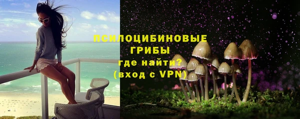 трава Михайловск