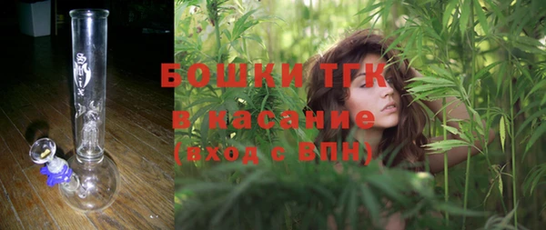 соль ск Михайлов